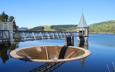 Why a Proper Structural Analysis Can Save Your Building—and Your Budget